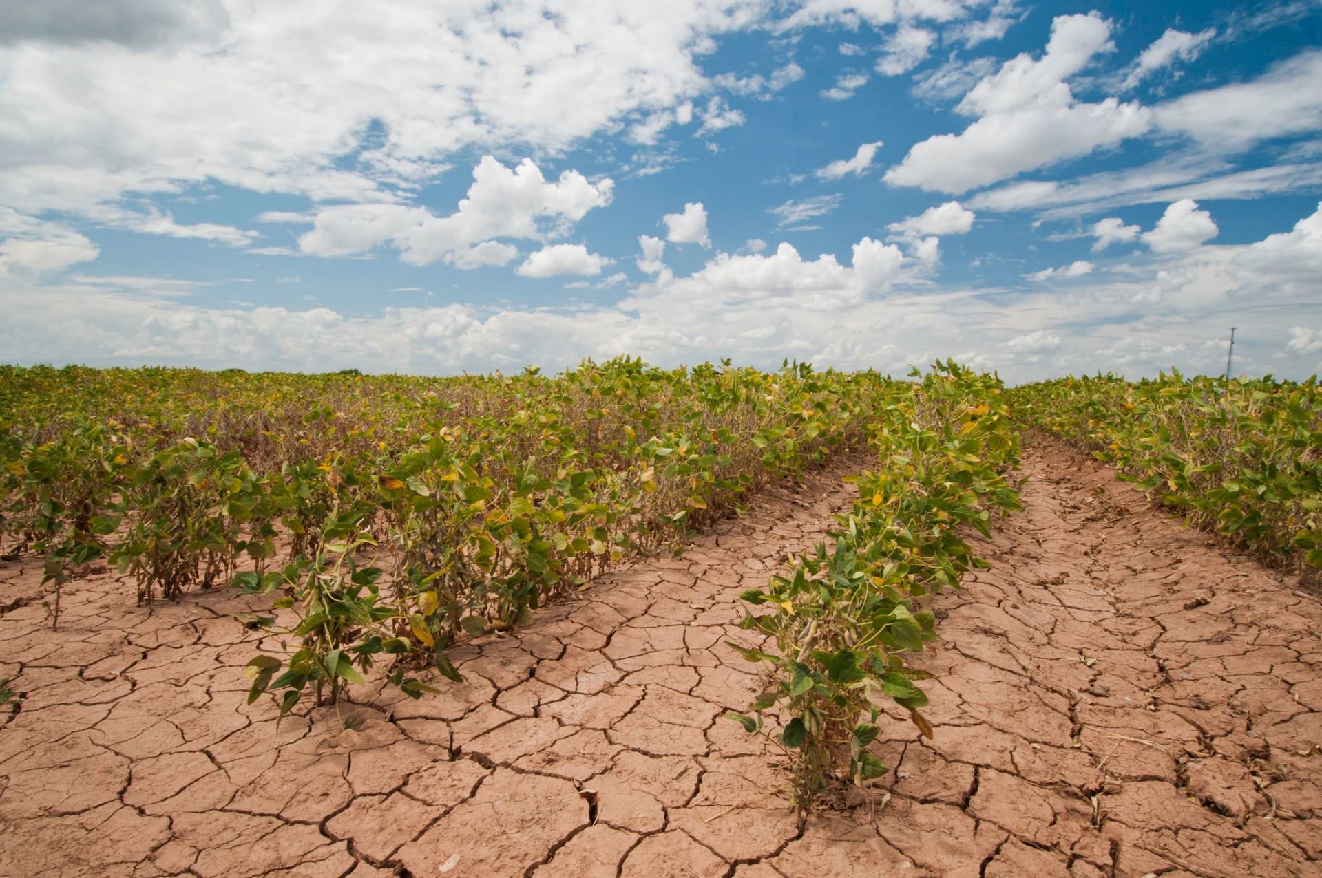 Registration is open for Face to Face course on Agricultural Drought Monitoring from Space Registration is open for Face to Face course on Agricultural Drought Monitoring from Space